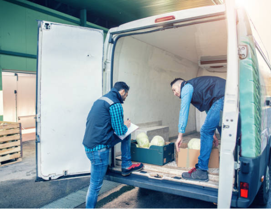 Cómo transportar alimentos en una furgoneta 2024 Xtravans